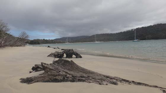 Southern Belle's Trip To Tasmania